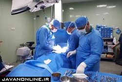 کدام عضو پیوندی بیشتر در ایران مورد نیاز است؟