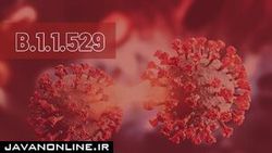 چرا سویه جدید کرونا اُمیکرون نام گرفت؟