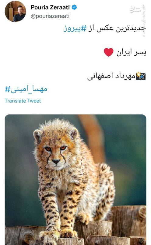 این یوز ایران نیست، یوز جمهوری اسلامی است +عکس