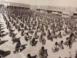 اسارت همزمان دو برادر با دستان بسته به هم