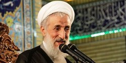 علامه مصباح هیچ ارزشی را با ولایت‌مداری قابل مقایسه نمی‌دانست/ کشور ما زیر پرچم ولایت به اوج اقتدار رسید