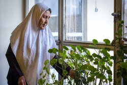 هورمون درمانی ریسک آلزایمر را در زنان مسن کاهش می‌دهد