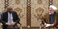 نوروزی: پارلمان‌ها می‌توانند در افزایش حجم تبادلات اقتصادی و فرهنگی ایران_مالی موثر باشند
