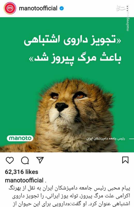 کثافت خانهای به اسم منوتو! + عکس کثافت خانهای به اسم منوتو! + عکس