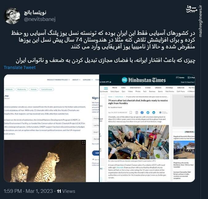 تنها کشوری که تونسته نسل یوزپلنگ آسیایی رو حفظ کنه+ عکس تنها کشوری که تونسته نسل یوزپلنگ آسیایی رو حفظ کنه+ عکس