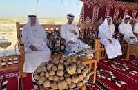 ترویج ناسیونالیسم عربی علیه ایران توسط شیخ ‌زاید! / روایتی از ملت‌سازی دولتی در امارات متحده عربی