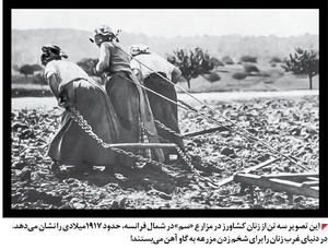  آنجا که غرب نیمه دیگر جامعه را نمی‌بیند!