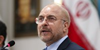 تصویب طرح حمایت مالی از افشاگران فساد یکی از گام‌های تحول در قوانین اقتصادی کشور است