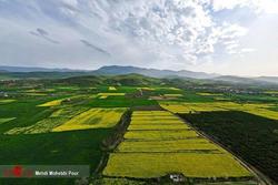 رشد ۹ برابری حدنگاری اراضی زارعی و کشاورزی