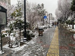 بارش برف و باران پراکنده در برخی استان‌ها