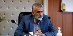 میراحمدی: قرارگاه عملیاتی مشترک با دولت عراق برای هماهنگی اربعین تشکیل شد