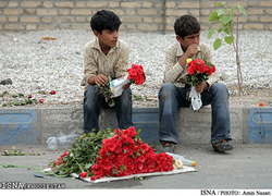 کودکان کار زنجان ساماندهی می‌شوند