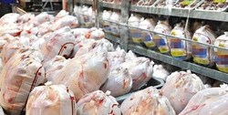 آرامش در بازار مرغ و تخم‌مرغ/ قیمت مرغ ۱۰ هزار تومان کاهش یافت