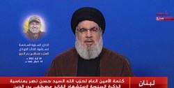 فلسطین دیگر منتظر کشور‌های عربی نیست/مقاومت، لبنان را آزاد کرد