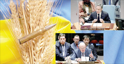 جنگ گندم در شورای امنیت