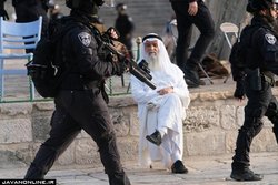 پیرمرد فلسطینی، نماد مقاومت شد +عکس