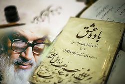 شعر انقلاب هنوز به جایگاه واقعی خود نرسیده است