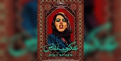 همه آنچه درباره «عنکبوت مقدس» باید بدانیم