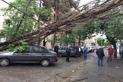 تهرانی‌ها امروز هم مراقب باشند