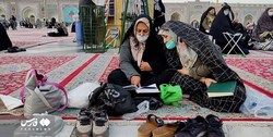 خرده‌روایت‌های میهمانان قالی صحن انقلاب