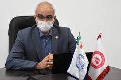 ایران بزرگ‌ترین ظرفیت سلول‌های بنیادی خاورمیانه را دارد