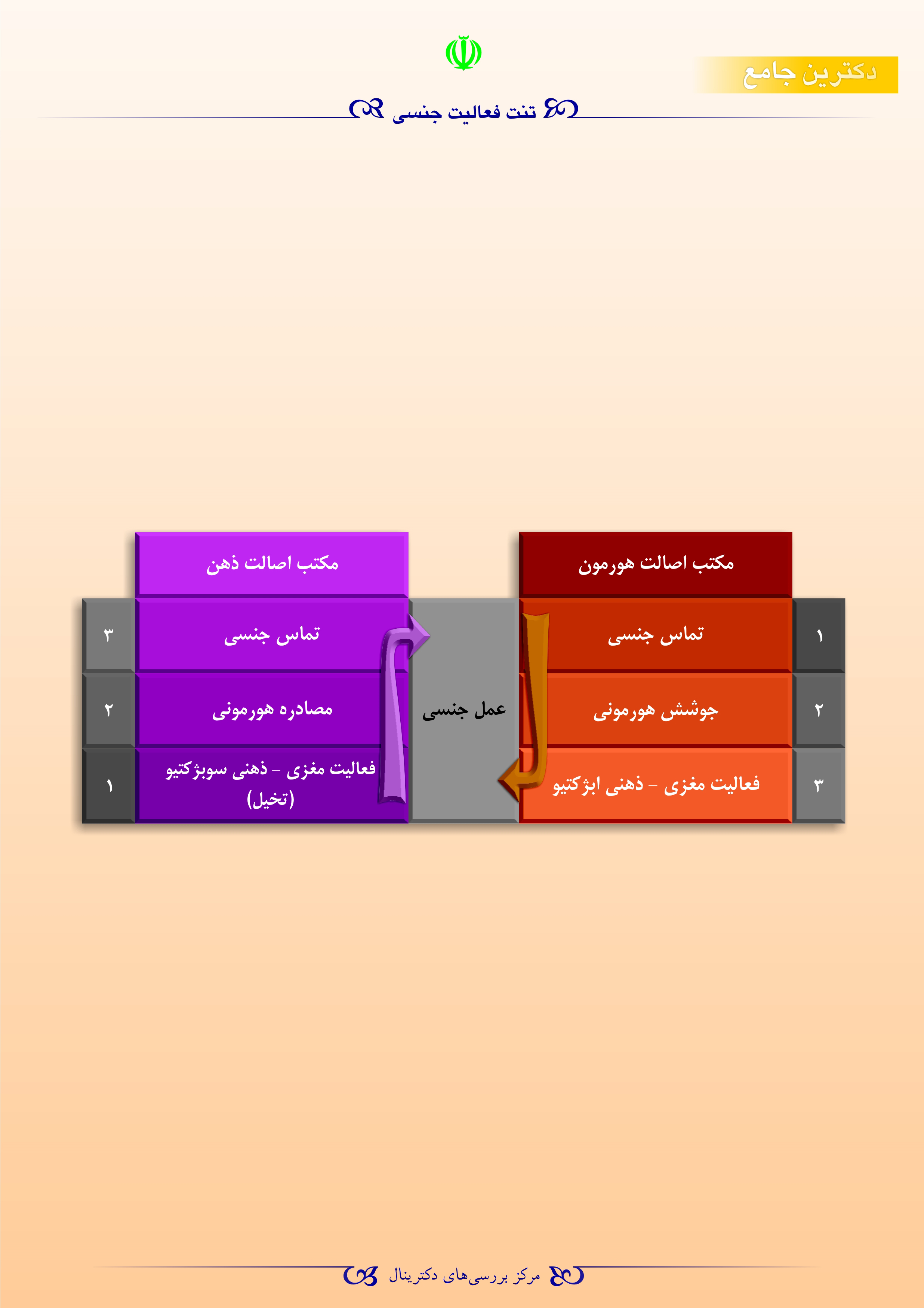 زنان متأهل اولین قربانی خیانت در کشور چشم و دل سیرها/ دلیل اصلی چیست؟ زنان متأهل اولین قربانی خیانت در کشور چشم و دل سیرها/ دلیل اصلی چیست؟