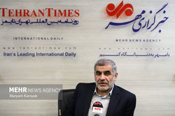 دولت روحانی با مجلس همکاری نمی‌کرد/ طرح صیانت مسکوت نشده است