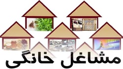 پرداخت تسهیلات مشاغل خانگی در ۵۰۹ رسته شغلی