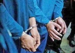 دستگیری میوه فروشان مسلح در تهران
