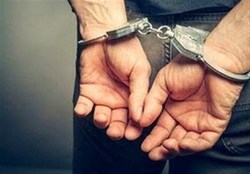 عامل اصلی ضرب و جرح یک روحانی در پارک پلیس دستگیر شد