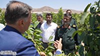 فرمانده سپاه صاحب الامر(عج) استان قزوین در بازدید از باغ گردوی دانش بنیان قزوین؛
کشاورزی مدرن و دانش بنیان راهکار مناسب در مقابله با بحران آب و غذا