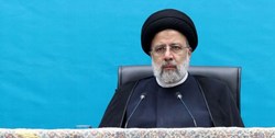 دستور رئیس‌جمهور برای پیگیری تخلف احتمالی در واردات نهاده‌های دامی