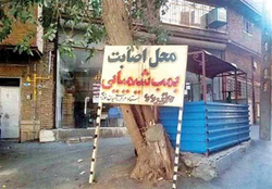  خاطره‌ای که با سرفه‌های جانسوز گره خورده است