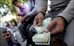 کاهش نرخ ارز در بازار، افزایش در کانال‌های تلگرامی/ تکاپوی دلالان برای ضرر کمتر