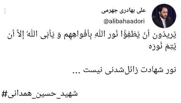 واکنش سخنگوی دولت به توهین میرحسین