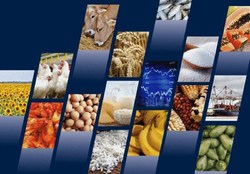 کاهش فروش کالاهای اساسی پس از حذف ارز ترجیحی/ یارانه نقدی ۲۴هزار میلیارد تومانی به هدف نخورد
