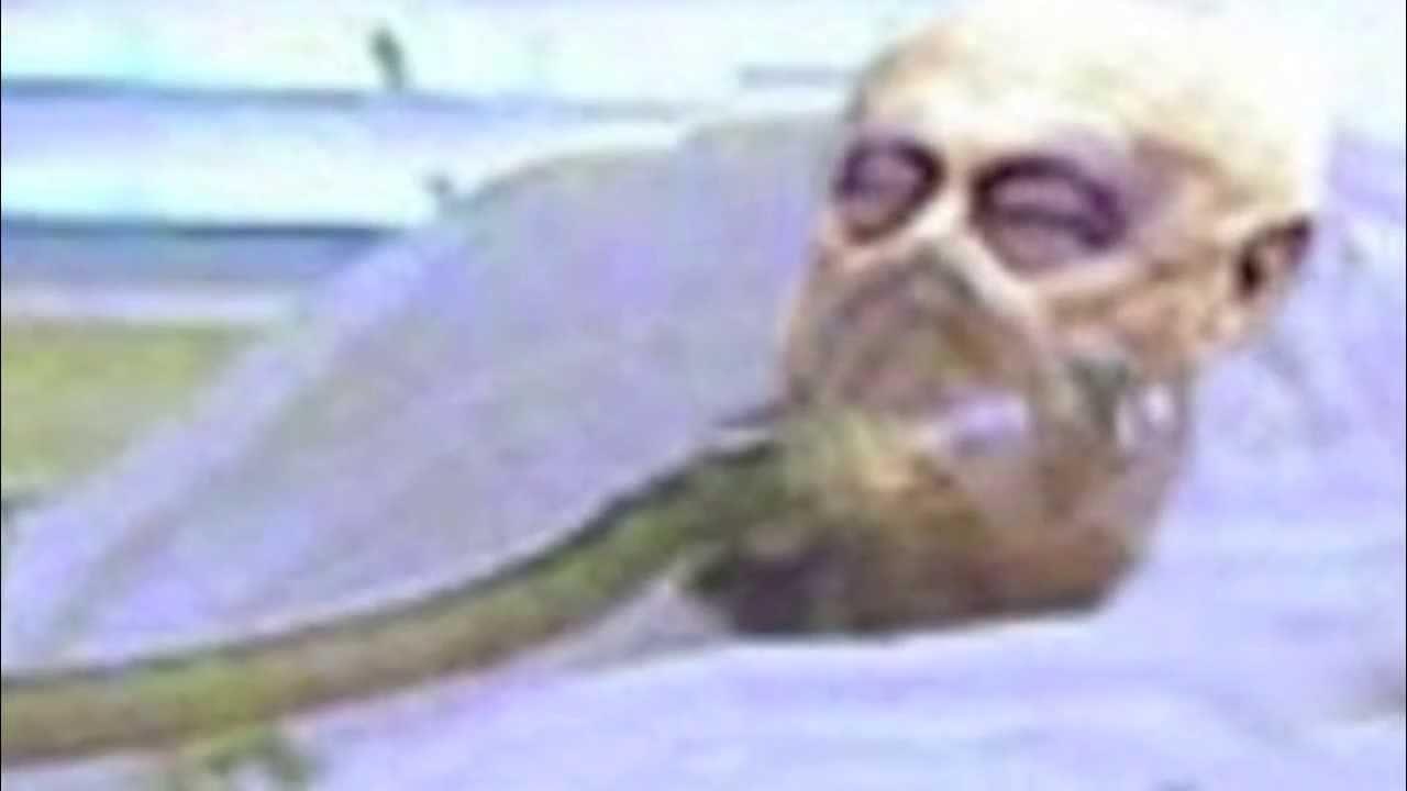 شوخی غیر قابل انتشار! شوخی غیر قابل انتشار!