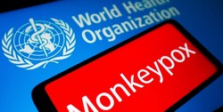 WHO: موارد آبله میمون در هفته گذشته ۲۰ درصد افزایش یافت