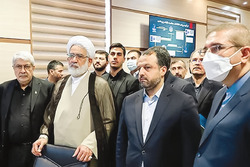 نیمی از شرکت‌های ثبتی در کشور غیرفعالند