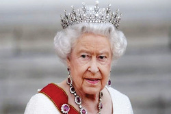 قابی زیبا بر تصویر جنایت