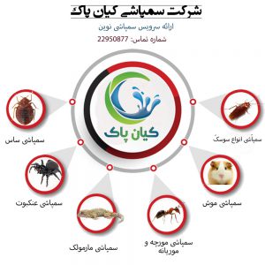بهترین روش برای مقابله با ساس و سمپاشی ساس چه روش هایی است!!! بهترین روش برای مقابله با ساس و سمپاشی ساس چه روش هایی است!!!