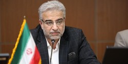 زاهدی‌وفا: در حل مشکلات کشور کوشا خواهم بود/ فرزندانم تابعیت خارج از کشور ندارند