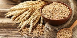 تداوم رشد قیمت‌ در بازار های جهانی/ هر روز رکورد جدیدی ثبت می شود