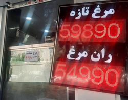 عرضه قیمت گوشت مرغ در بازار همچنان با نرخ مصوب