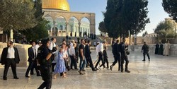 تعرض گسترده صهیونیست‌ها به مسجدالاقصی