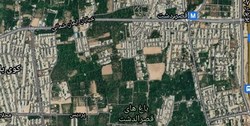 خشکاندن باغات شیراز برای رسیدن به درآمدهای نجومی/ مافیایی که حکم تخریب را نقش‌برآب می‌کند