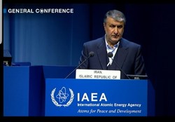 اسلامی: ایران همواره مقید به رعایت ضوابط پادمان است
