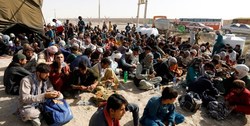 یش از 5 هزار مهاجر افغان طی هفته گذشته از ایران به کشورشان بازگشته‌اند