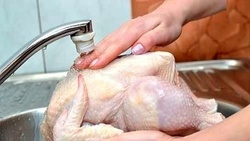هشدار جدی؛ اشتباهات خطرناک در شستن مرغ