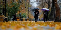 بررسی بارش باران در کشور طی 52 روز گذشته/ بوشهر در صدر استان‌های پربارش ایران